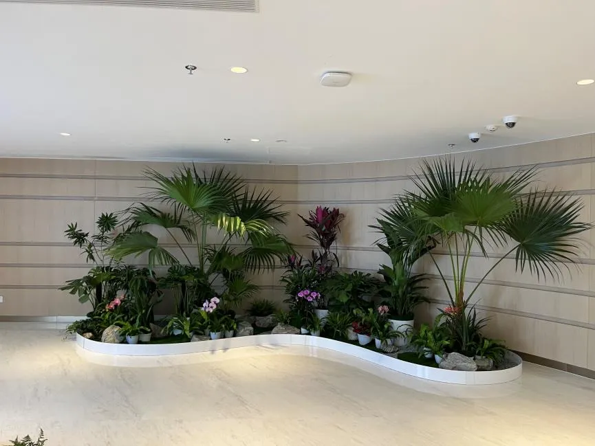 宁波盆景出租哪家好？速来围观优质之选！